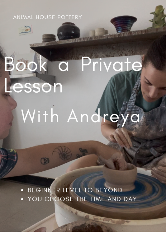One-on-One Wheel Throwing Lesson with Andreya